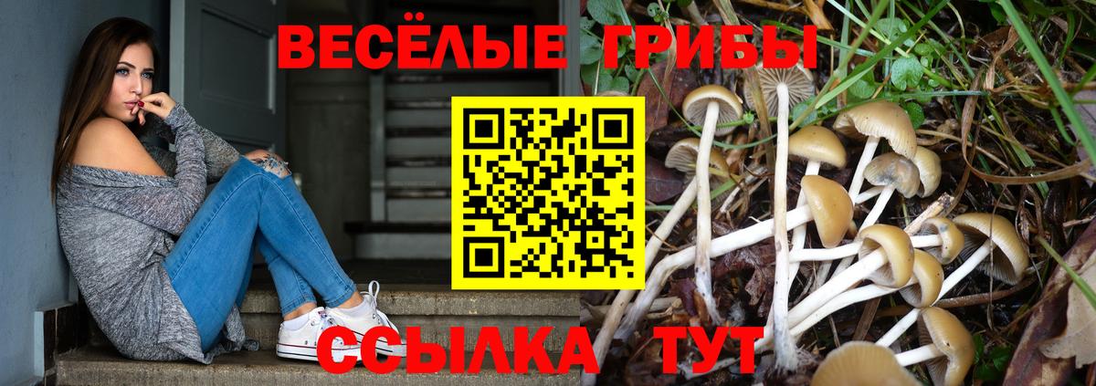 Галлюциногенные грибы GOLDEN TEACHER Белгород