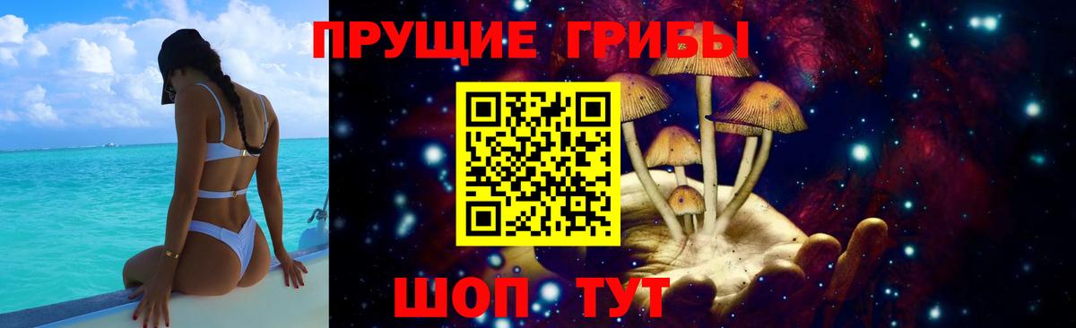 Белгород  Псилоцибиновые грибы Magic Shrooms  Вход с VPN 